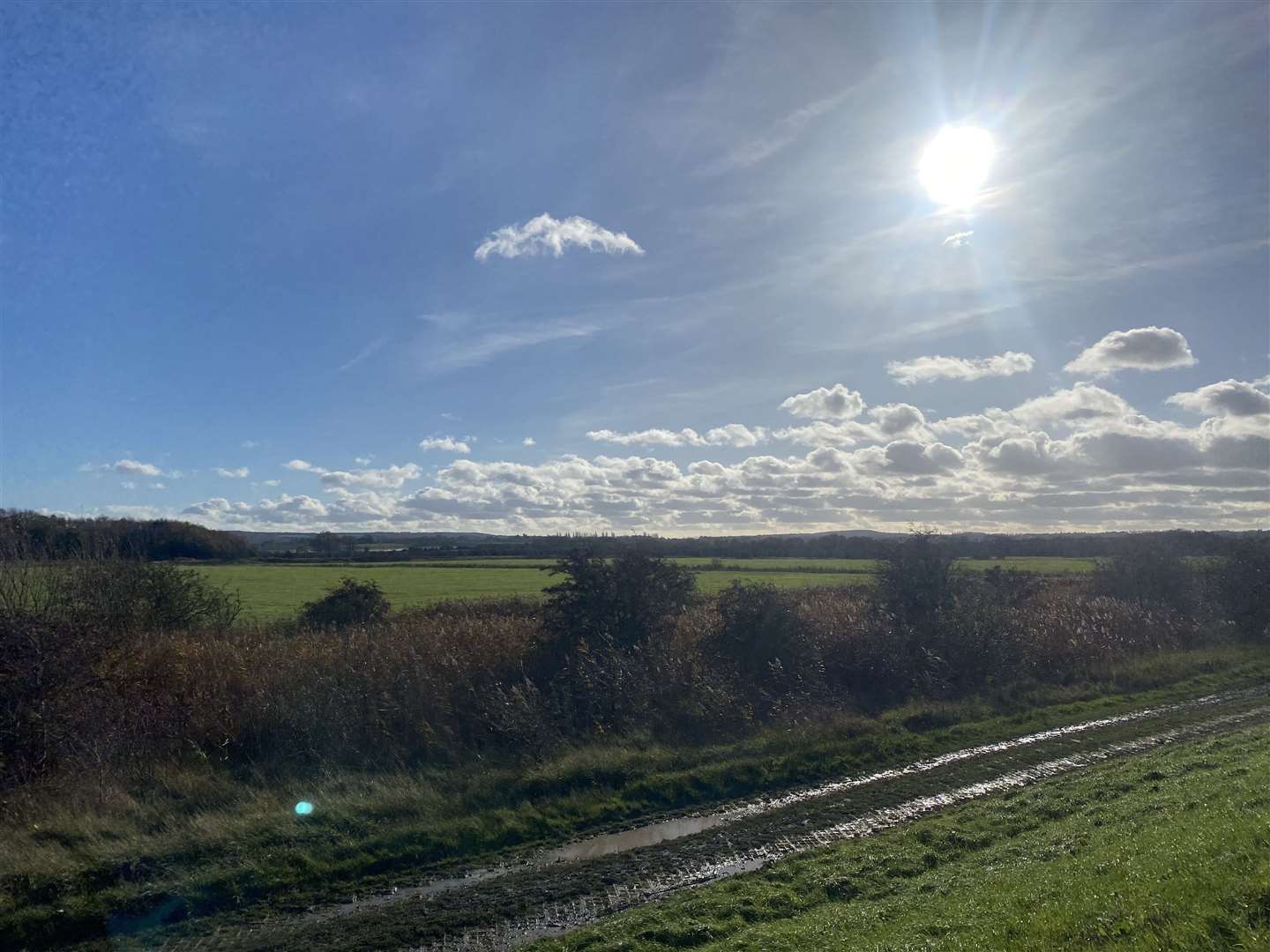 The Faversham trail can get muddy in the winter