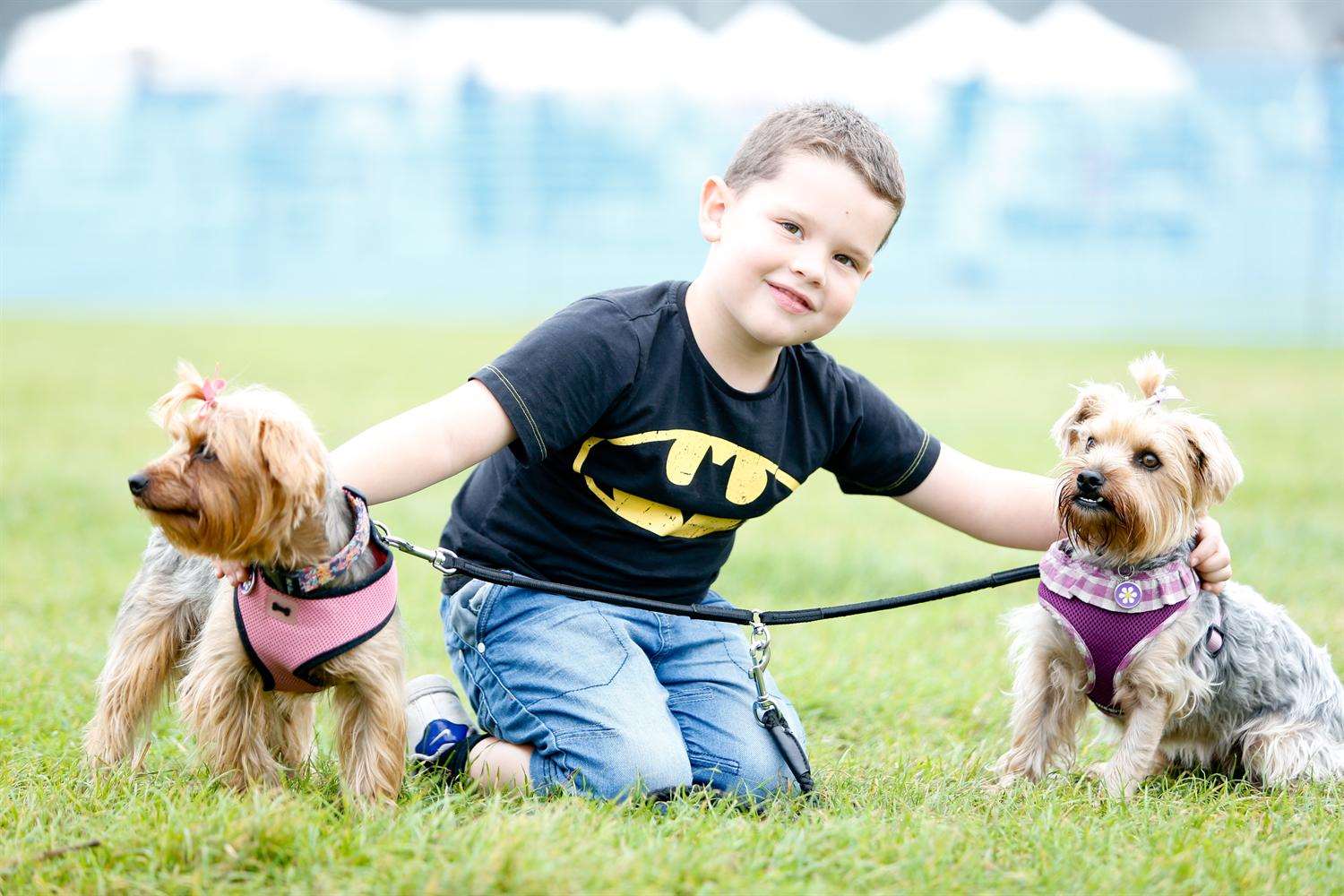 Five-year-old Harley Applegate with Yorkshire terriers Rosie and Millie. Picture: Matthew Walker