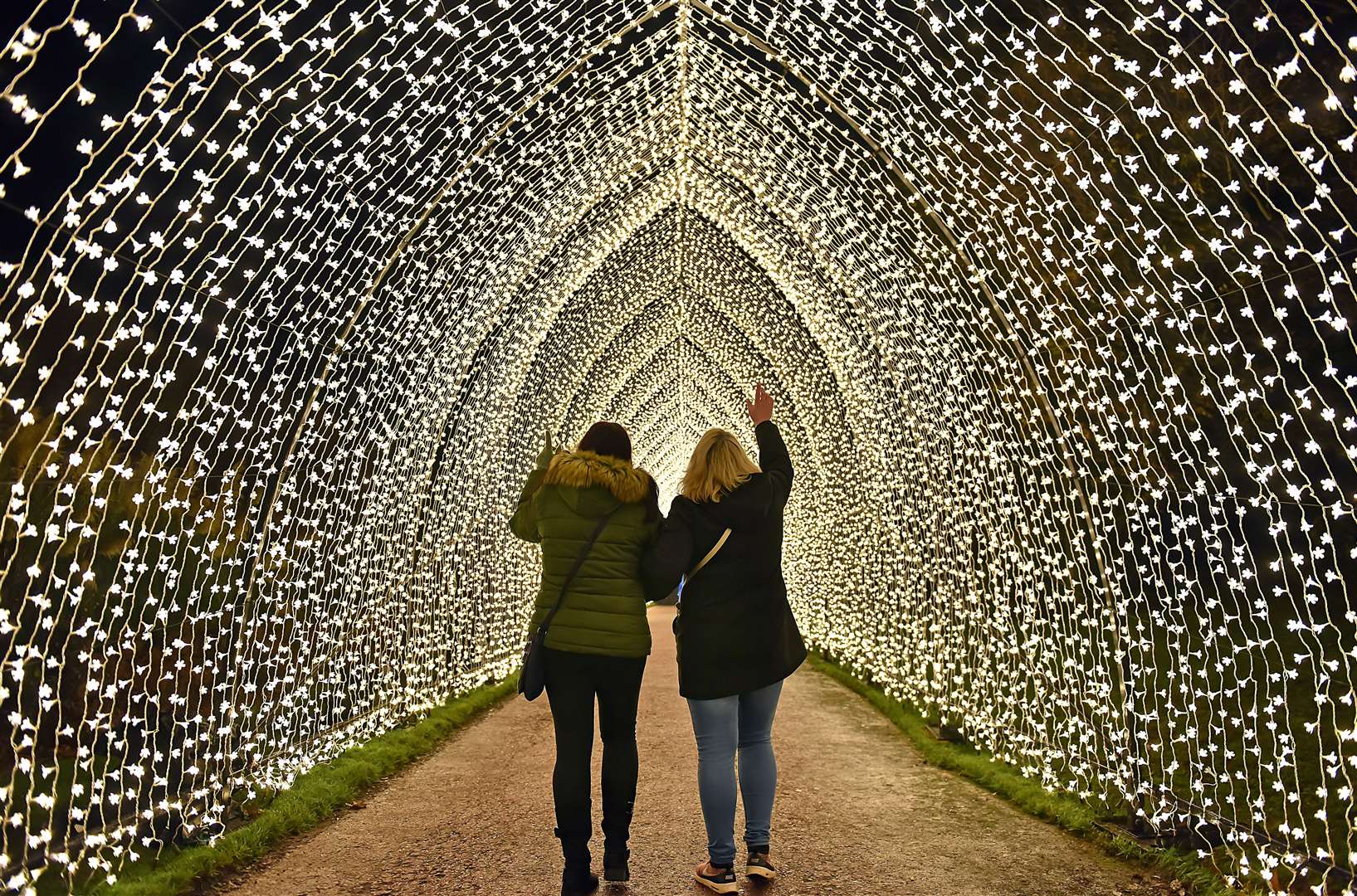 More than one million Christmas lights illuminate the forest each year. Image: Christmas at Bedgebury.