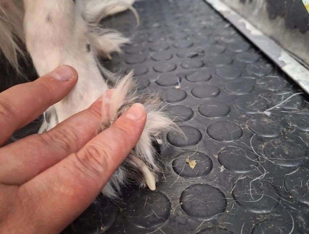 Ramona had overgrown nails when she was found