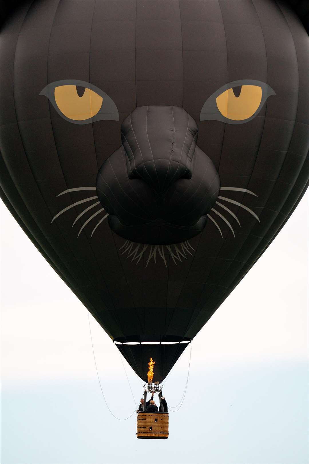 There was a cat among the pigeons over Alcester (Jacob King/PA)