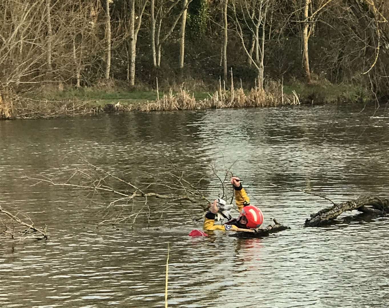 Inspector Dave Grant rescued him. Picture: RSPCA