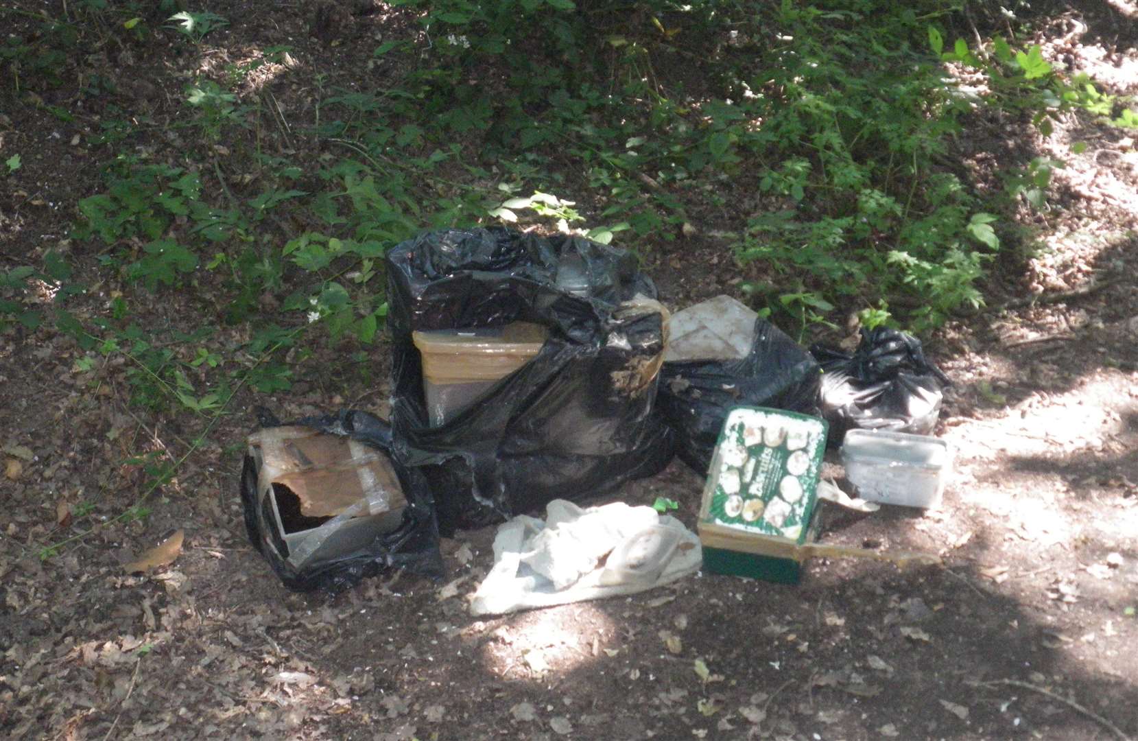 The bodies of 10 dead animals were found in sealed boxes in Chalket Lane, Penbury, near Tunbridge Wells