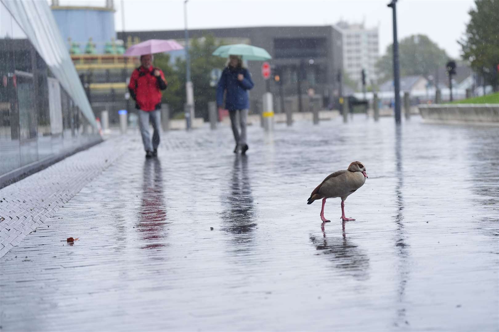 Heavy rain battered parts of England in September (Yui Mok/PA)