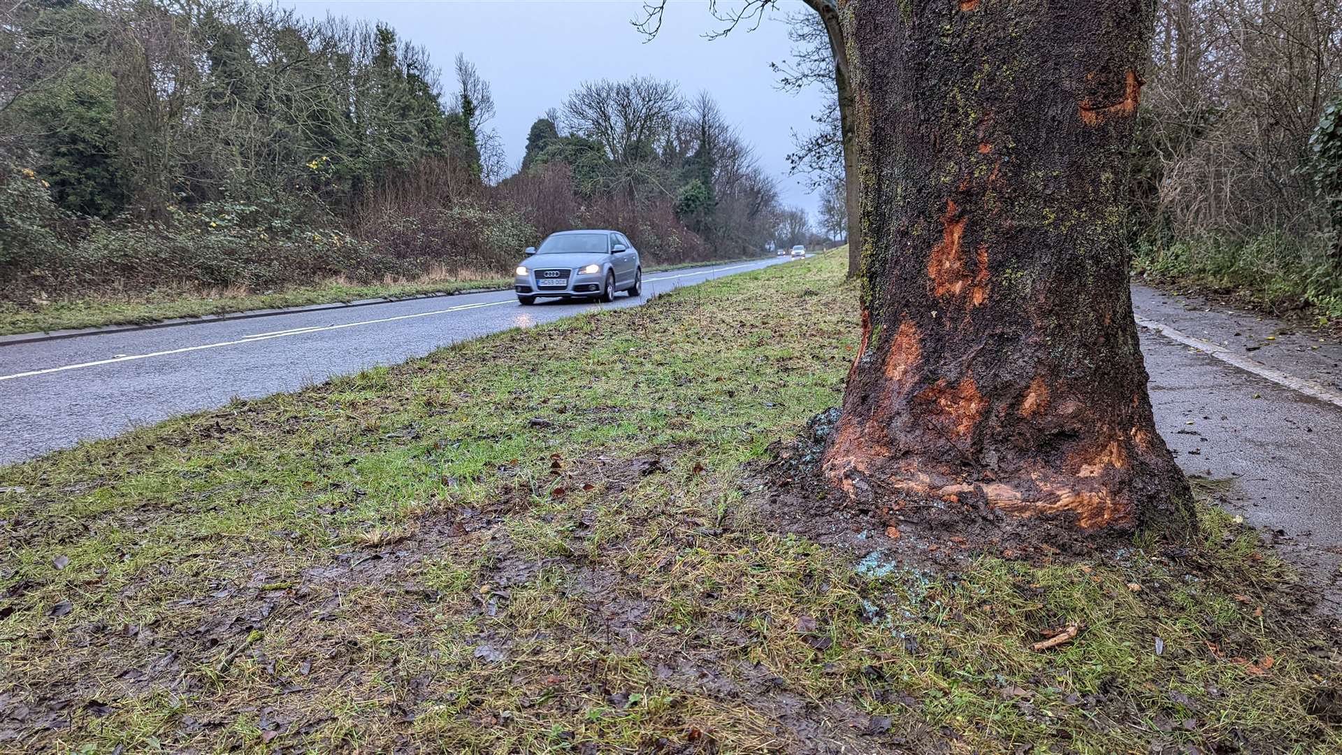 The grey Renault Megane left the road and hit a tree in Churchill Avenue