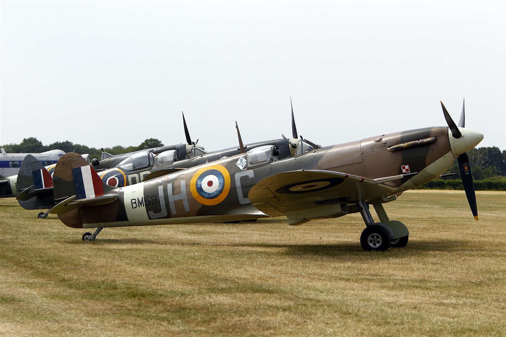 Aero Legends Spitfires on the ground Picture: Sean Aidan