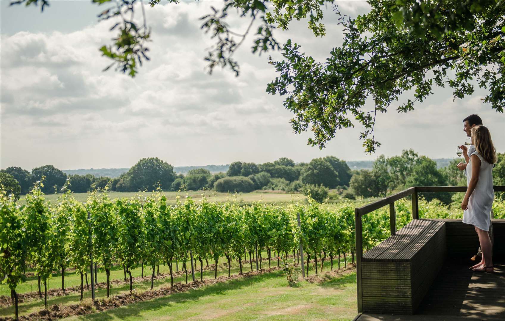 Gusbourne vineyard in Appledore. Picture: Visit Kent