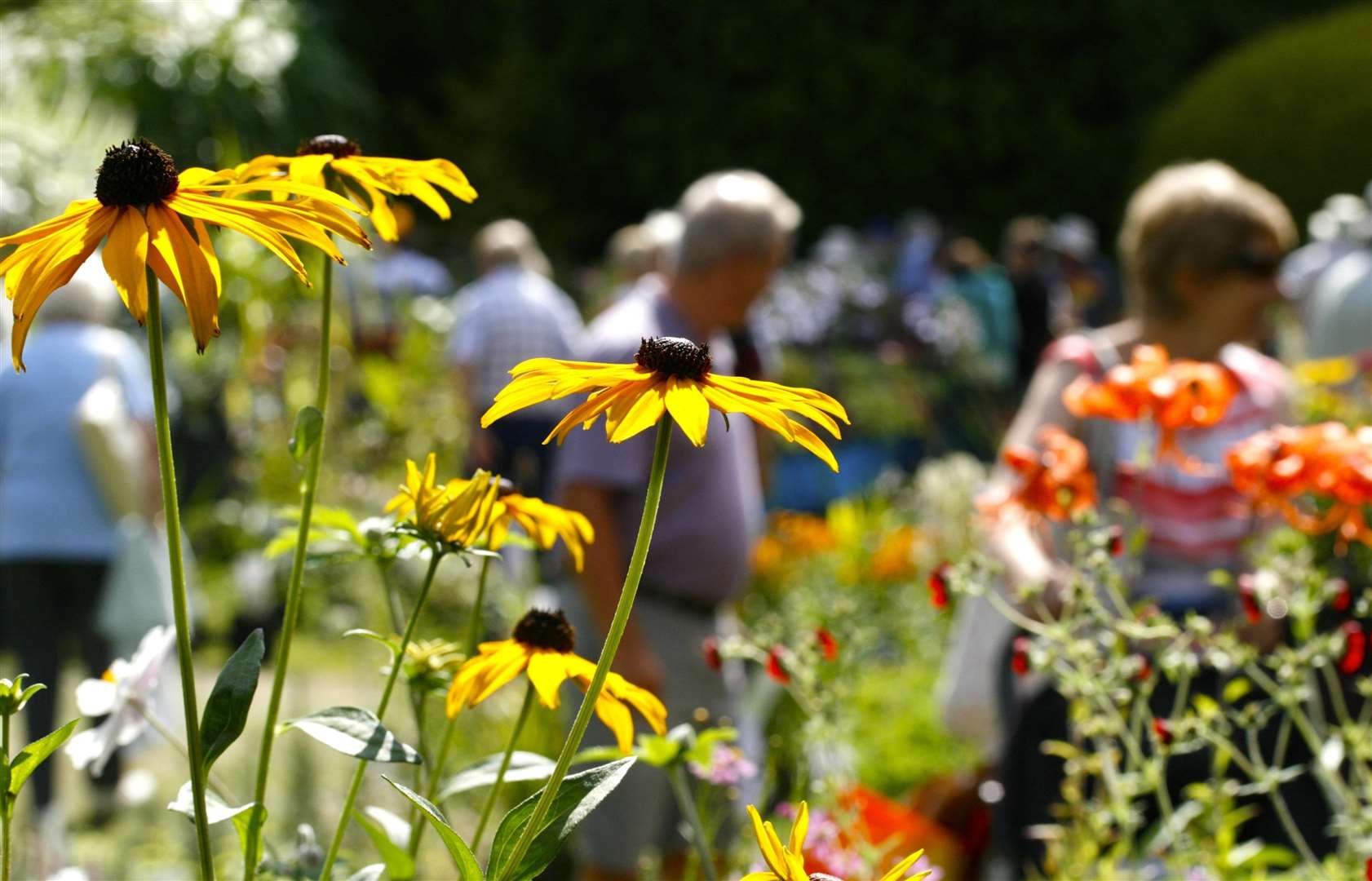 Great Comp Garden Summer Show