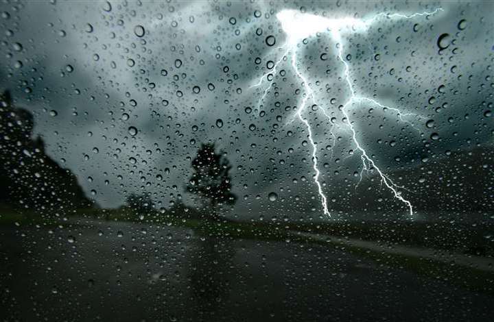 The Met Office’s climate report suggests the UK's changing summers are affecting the behaviour of some creatures. Picture: iStock