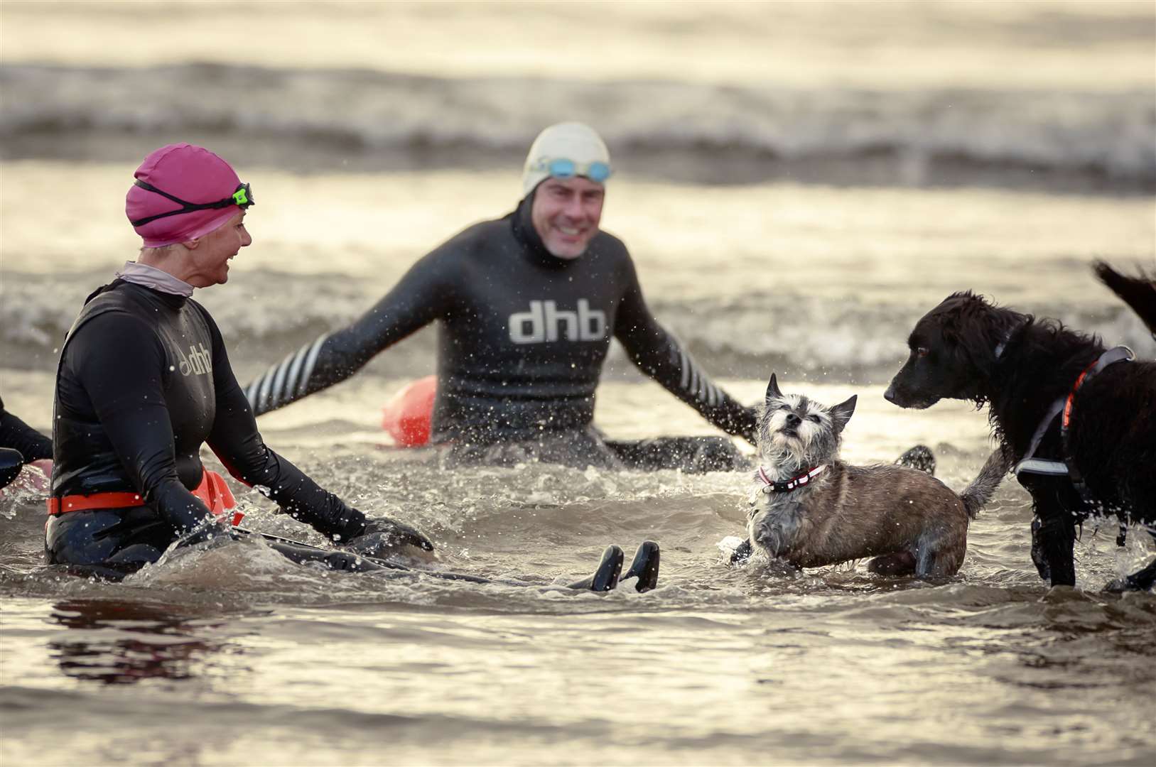 Locals and their dogs take a new year’s day dip in the sea at Scarborough in North Yorkshire (Danny Lawson/PA)