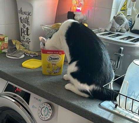 Claire Hastilow caught her cat taking the lid off the Dreamies treats and helping himself