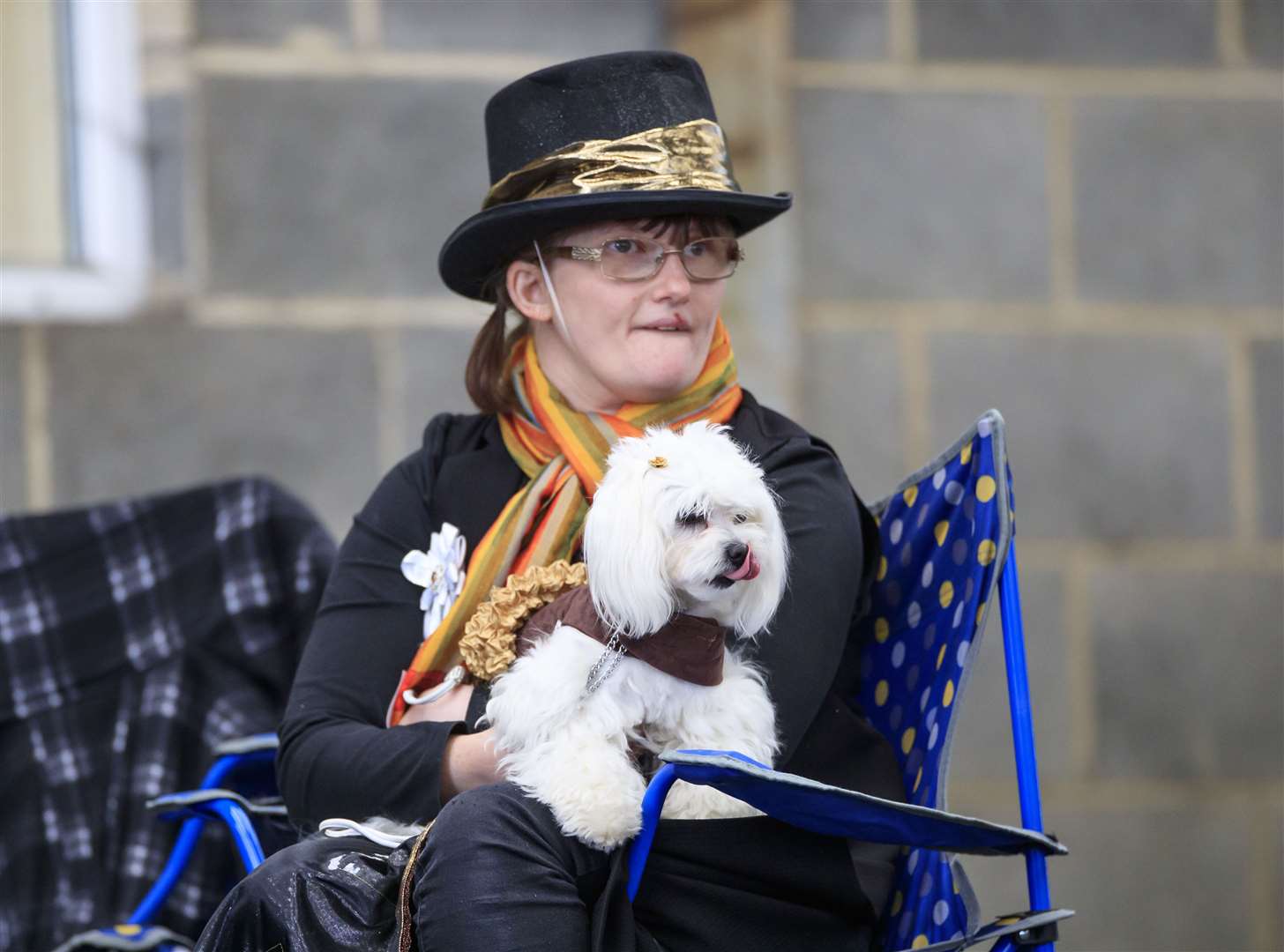 The pageant attracted dogs and their owners from all over the region (Danny Lawson/PA)