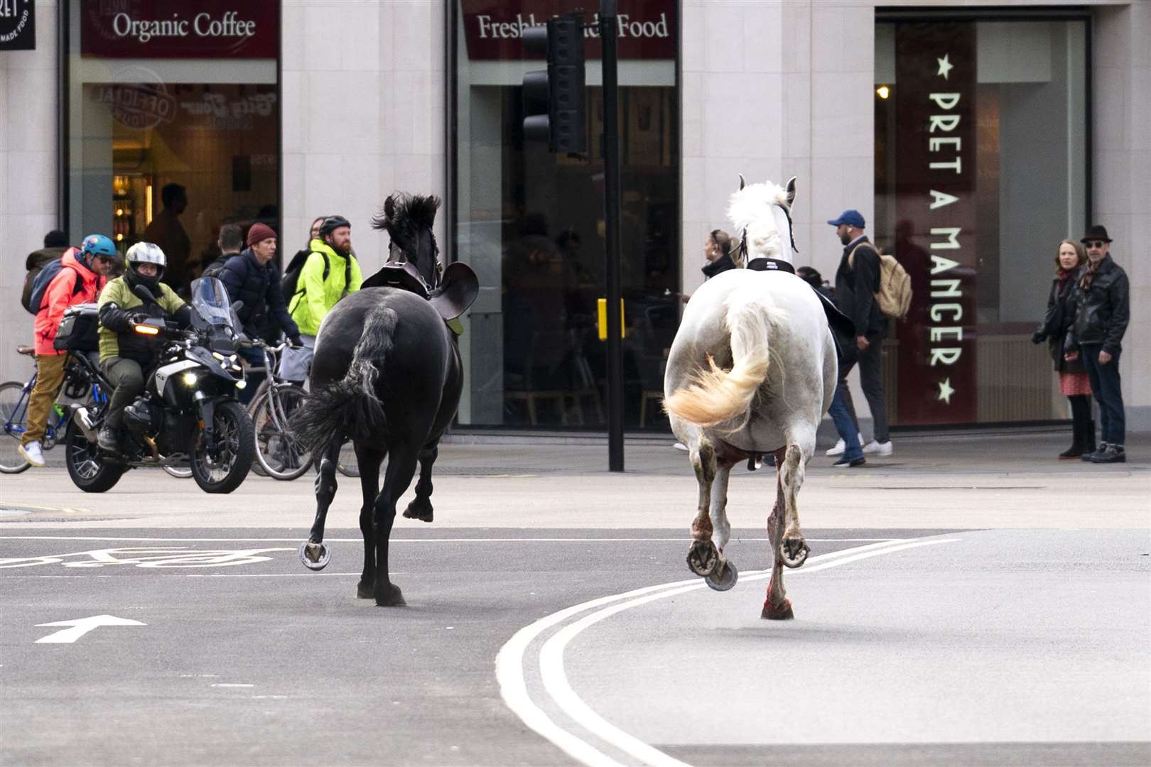 Two horses on the loose bolt through the streets of London near Aldwych (Jordan Pettitt/PA)