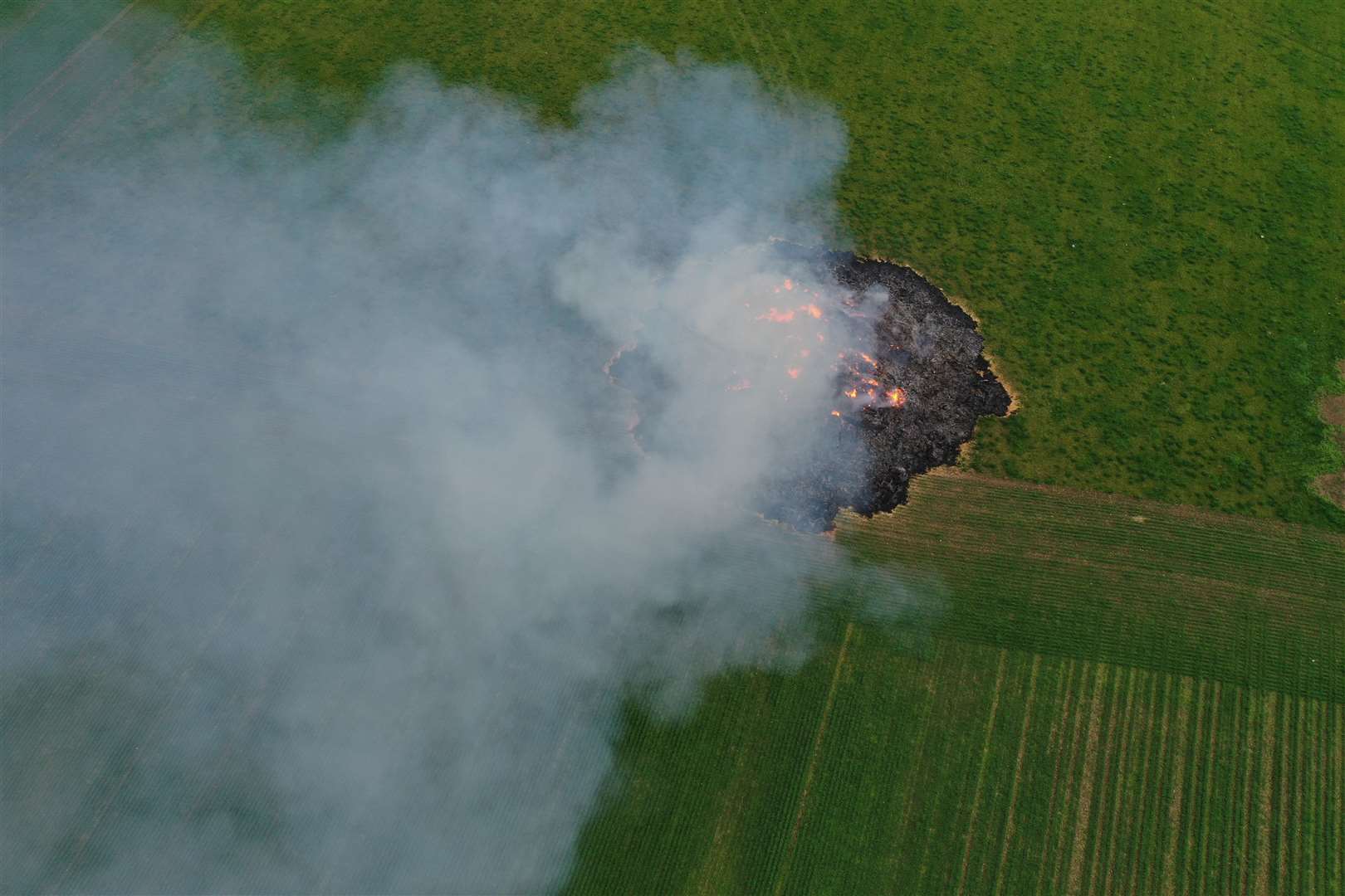 They hay would have been used by cattle over the winter. Picture: UKNIP