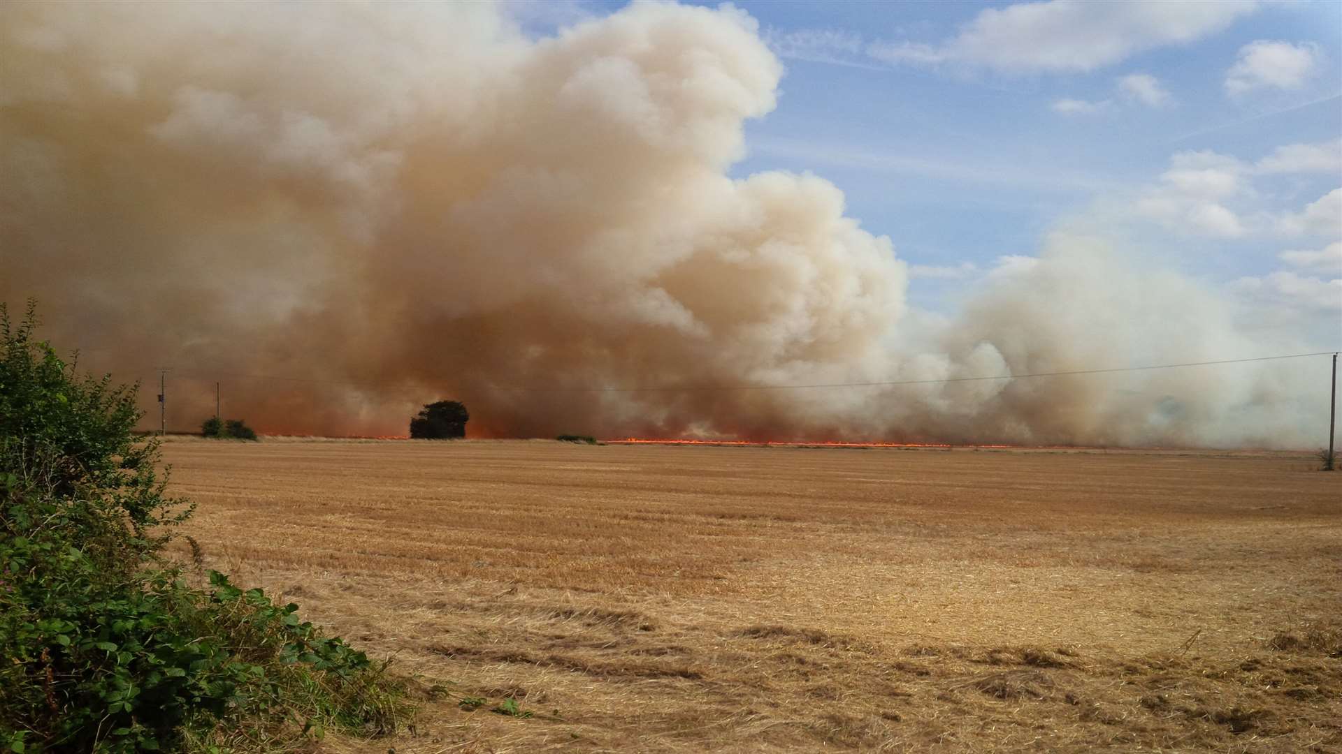 A corn blaze in Sherenden Lane, Marden. Picture: Brian Chantler