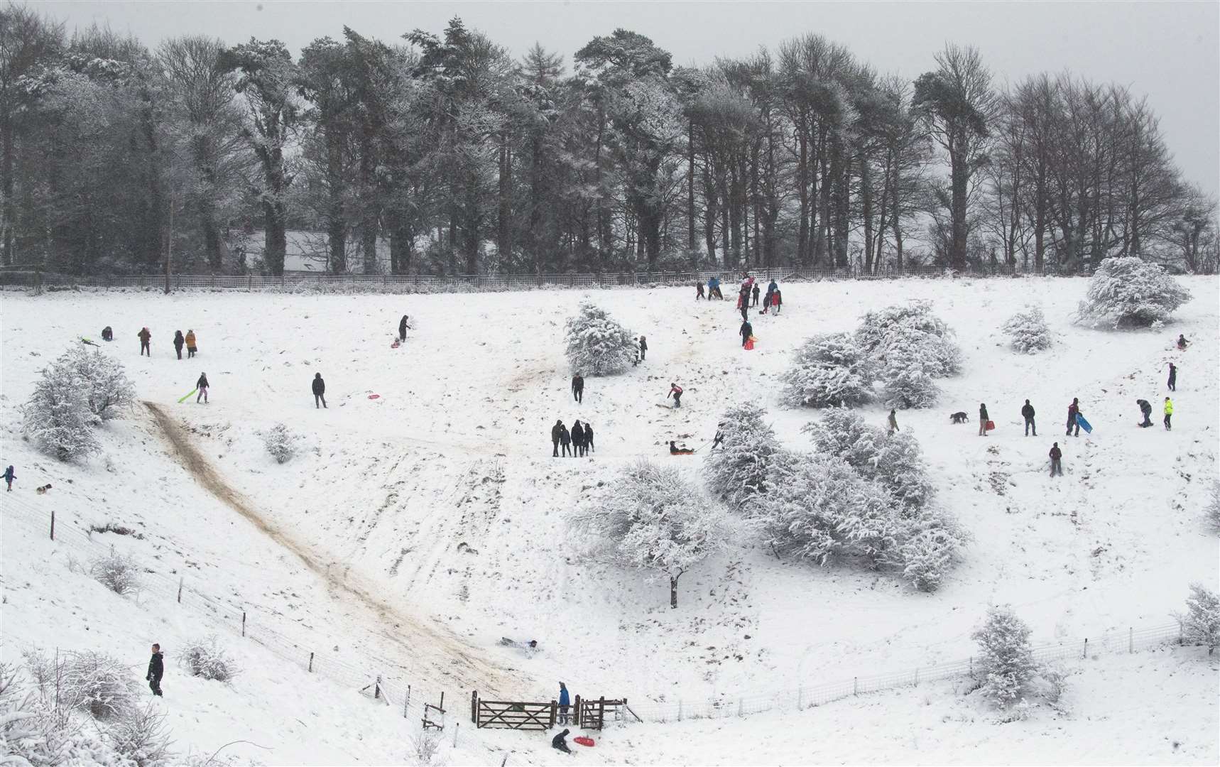 Sledging in Wye National Nature Reserve near Ashford (Andrew Matthews/PA)