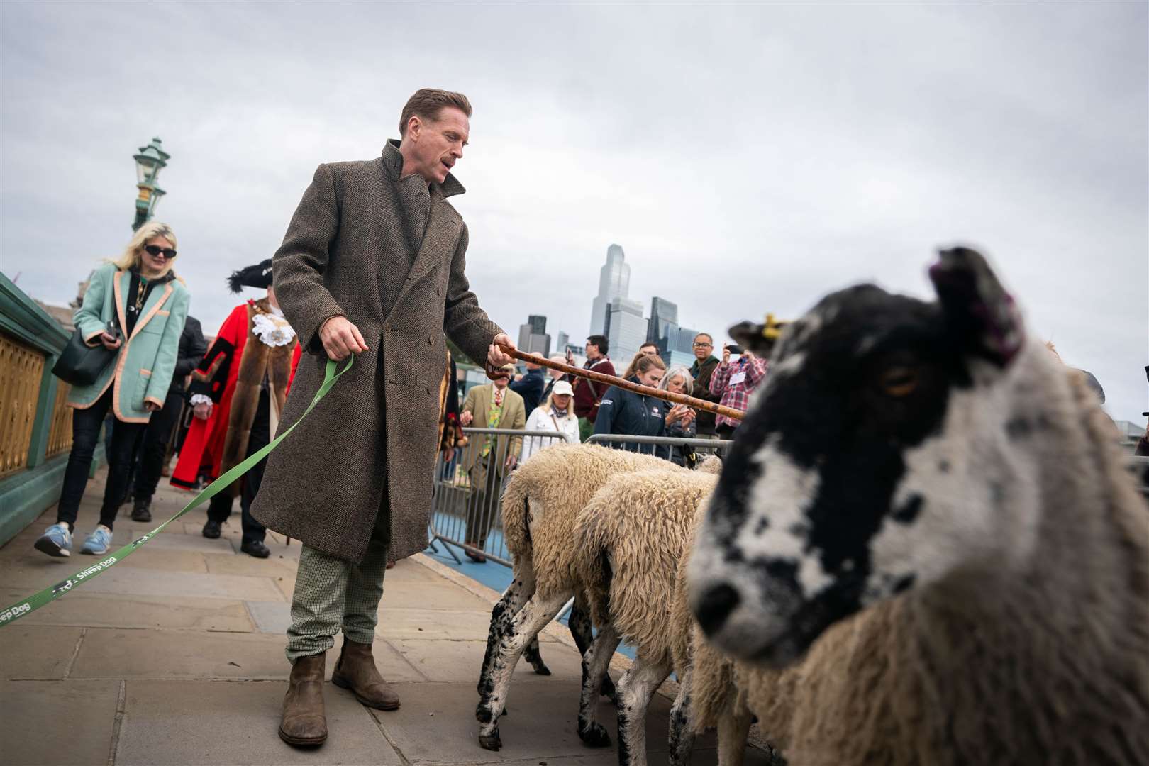 Damian Lewis drives sheep over Southwark Bridge, London (James Manning/PA)