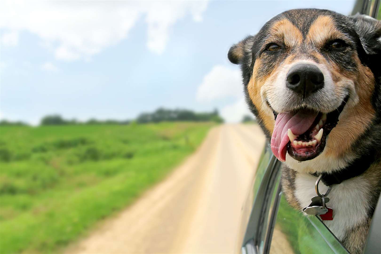 Pull those windows up! Driving with them down will cause the car to be less streamline.