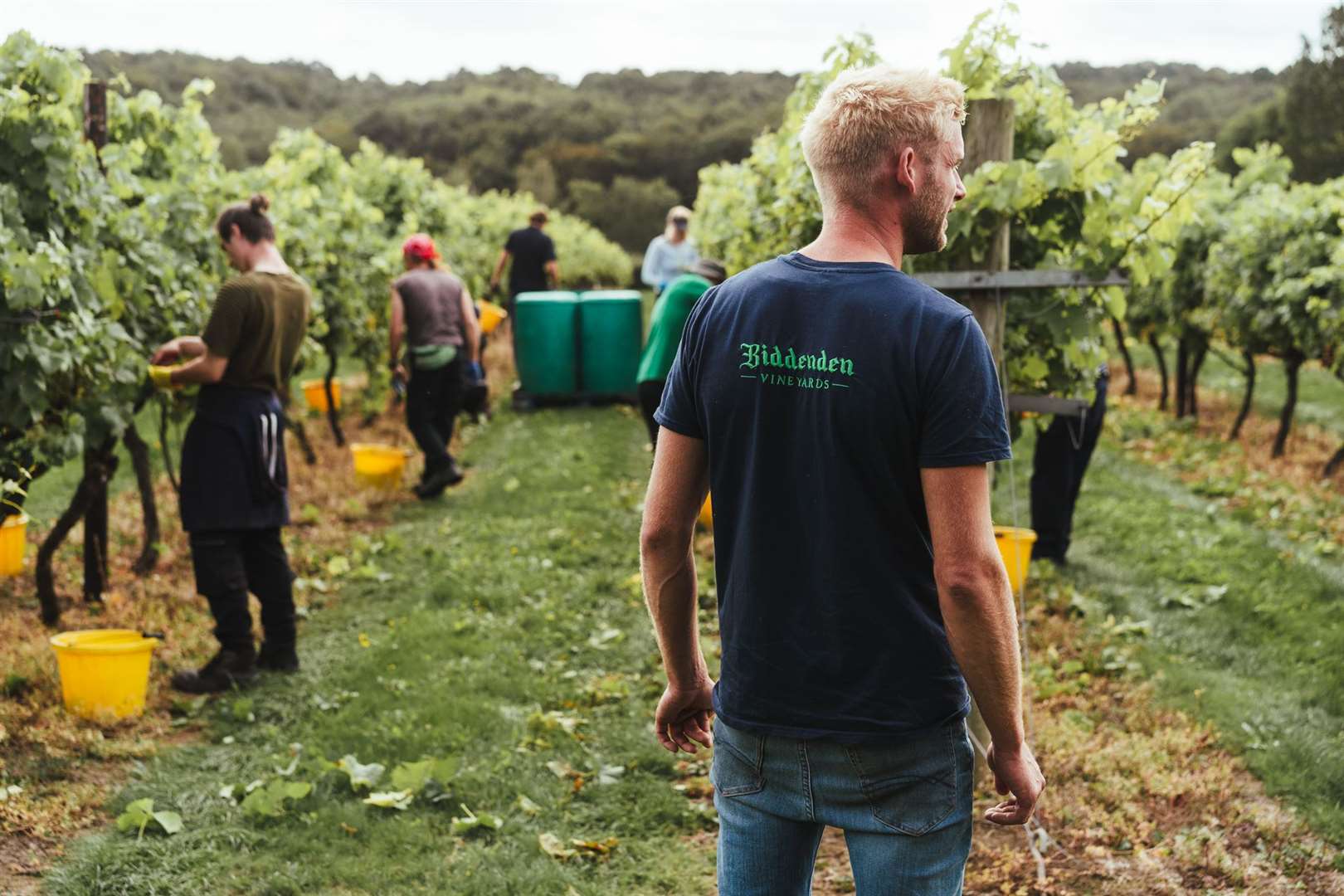 Biddenden is one of the county's longest-running vineyards and still carries out all work by hand
