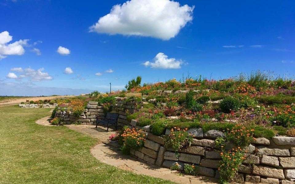 Sandown Castle Community Garden is a popular spot for walkers in Deal