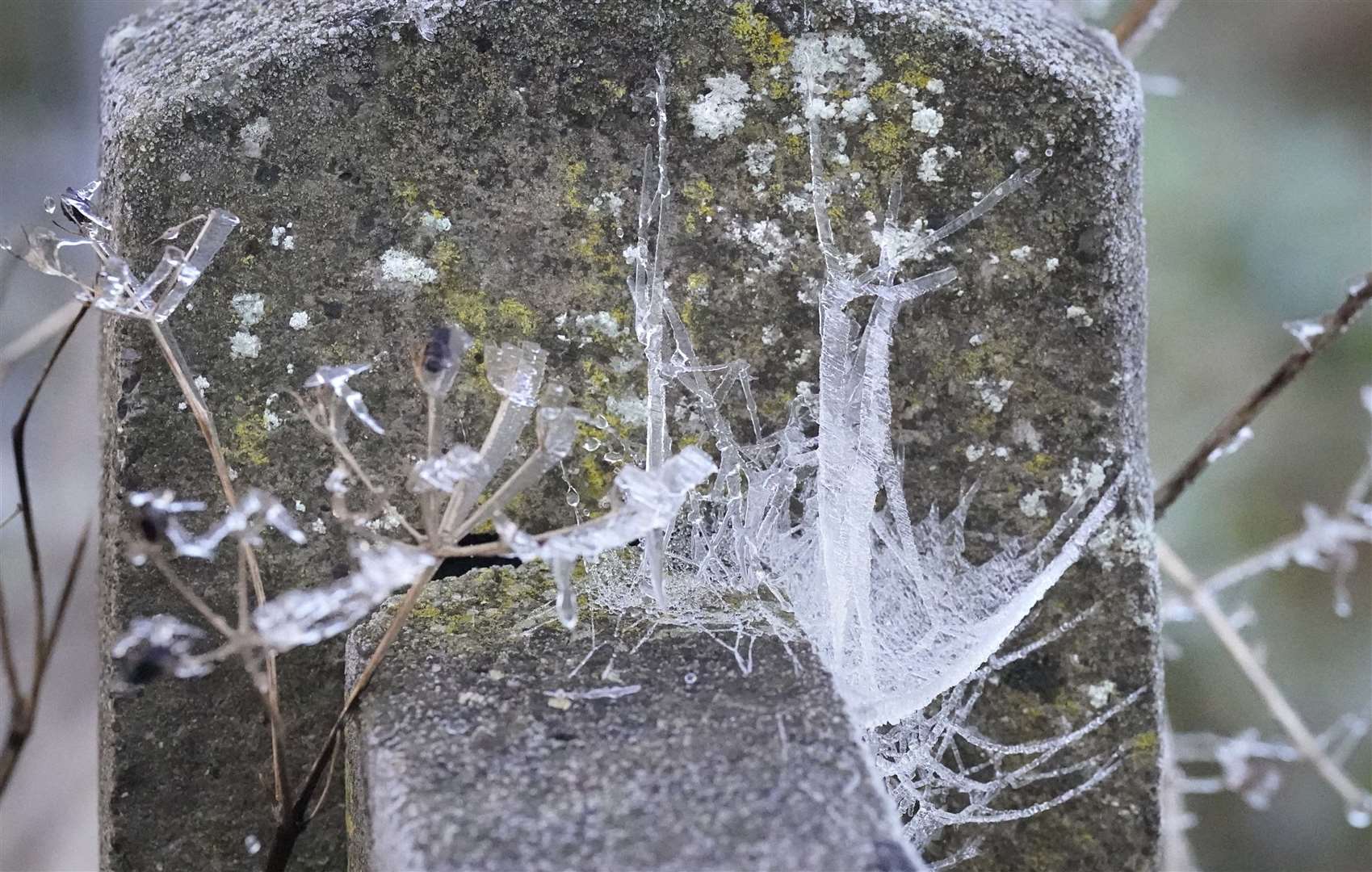 Frozen spiderwebs and twigs in Athy, County Kildare (Niall Carson/PA)