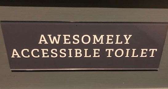 Perhaps overselling itself just a little - welcome to the awesomely accessible toilet. It was competing with brilliant boys and gorgeous girls