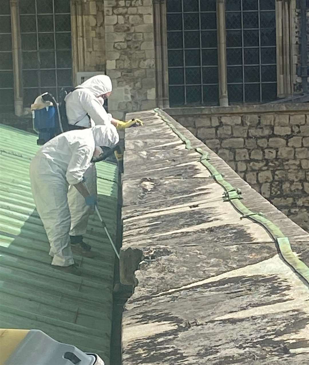 Scientists vacuuming the roof of Rochester Cathedral