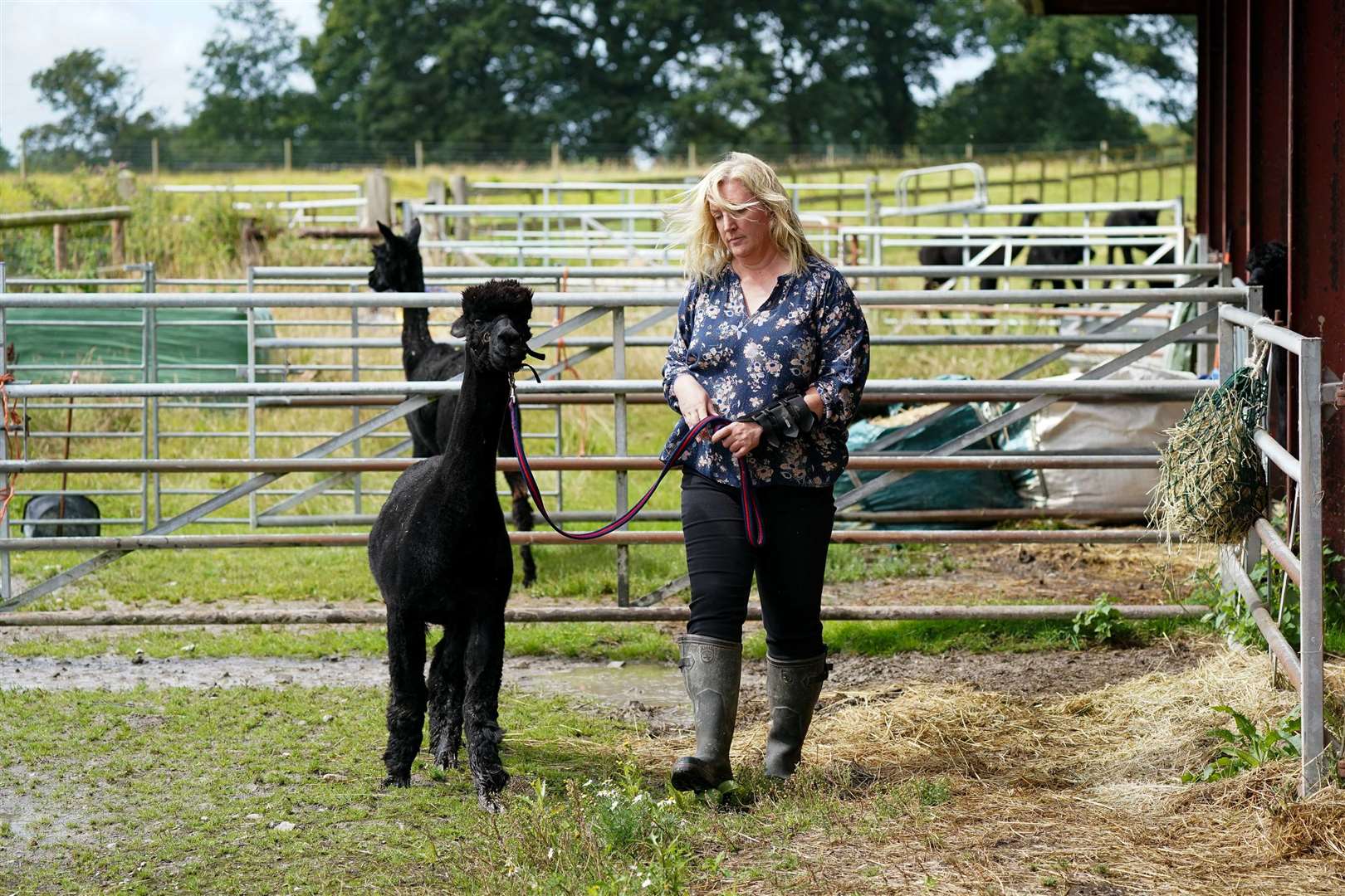 Geronimo with Ms Macdonald at Shepherds Close Farm in Wooton Under Edge, Gloucestershire (PA)