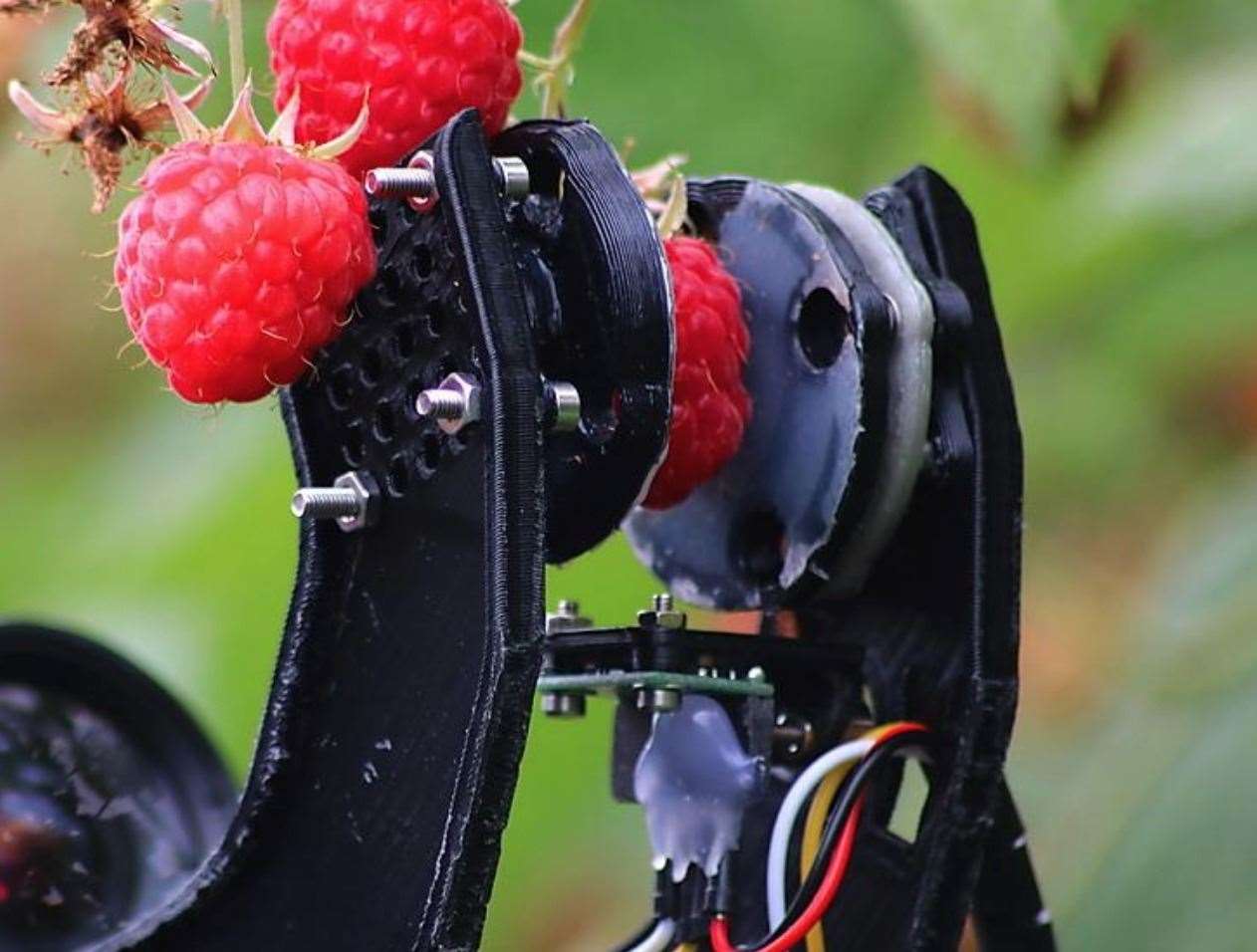 A fruit picking robot in action Picture: University of Portsmouth