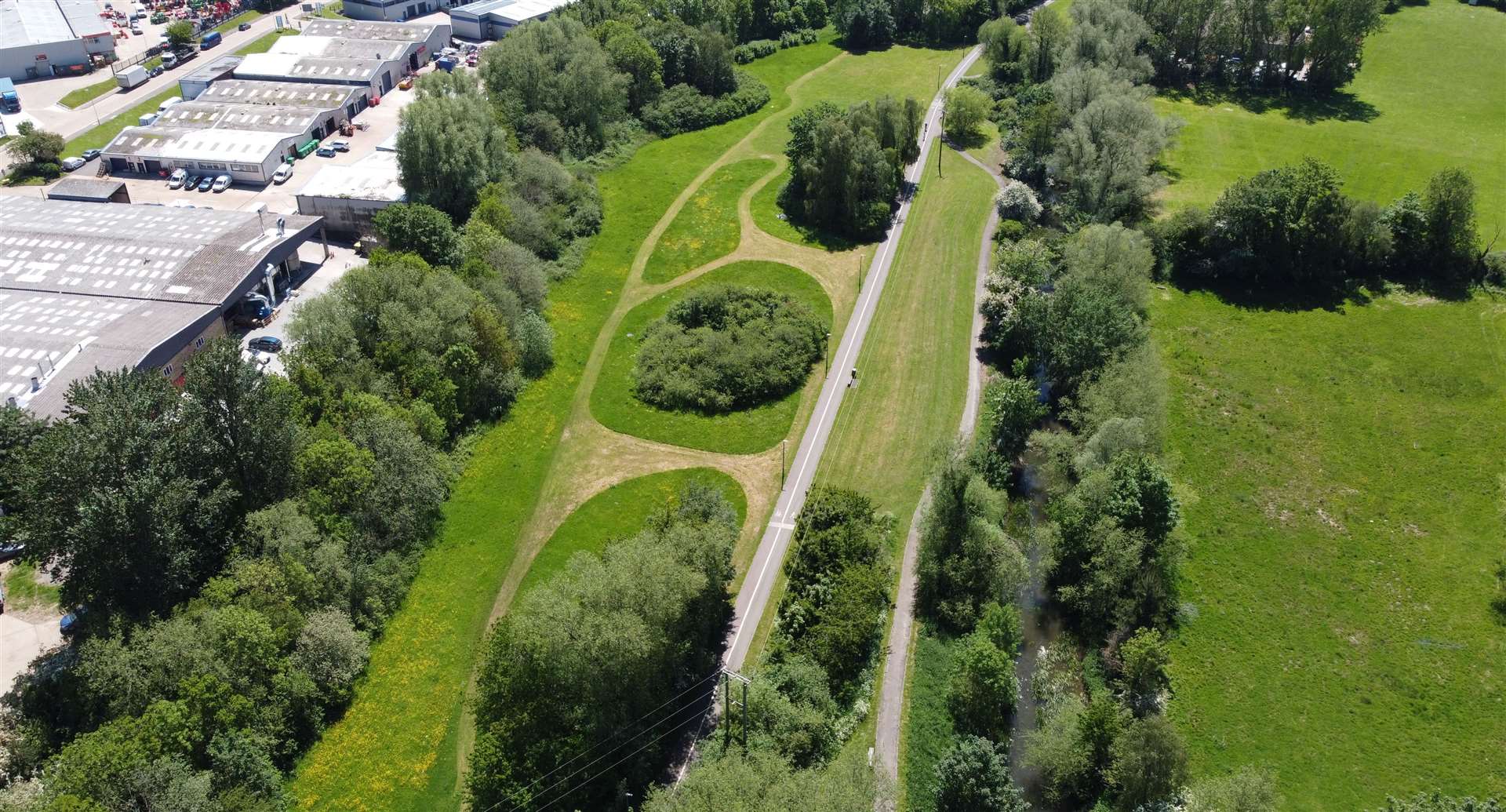 The wild meadows in Queen Mother’s Park. Picture: ABC