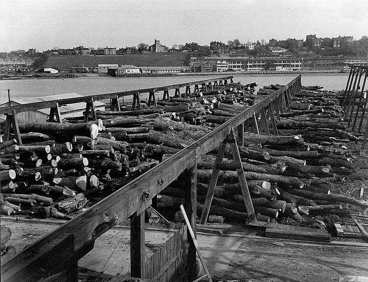 Morgan Timber opened its Strood yard in 1923