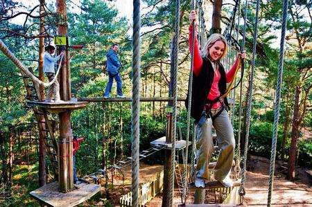 Take to the trees at Go Ape