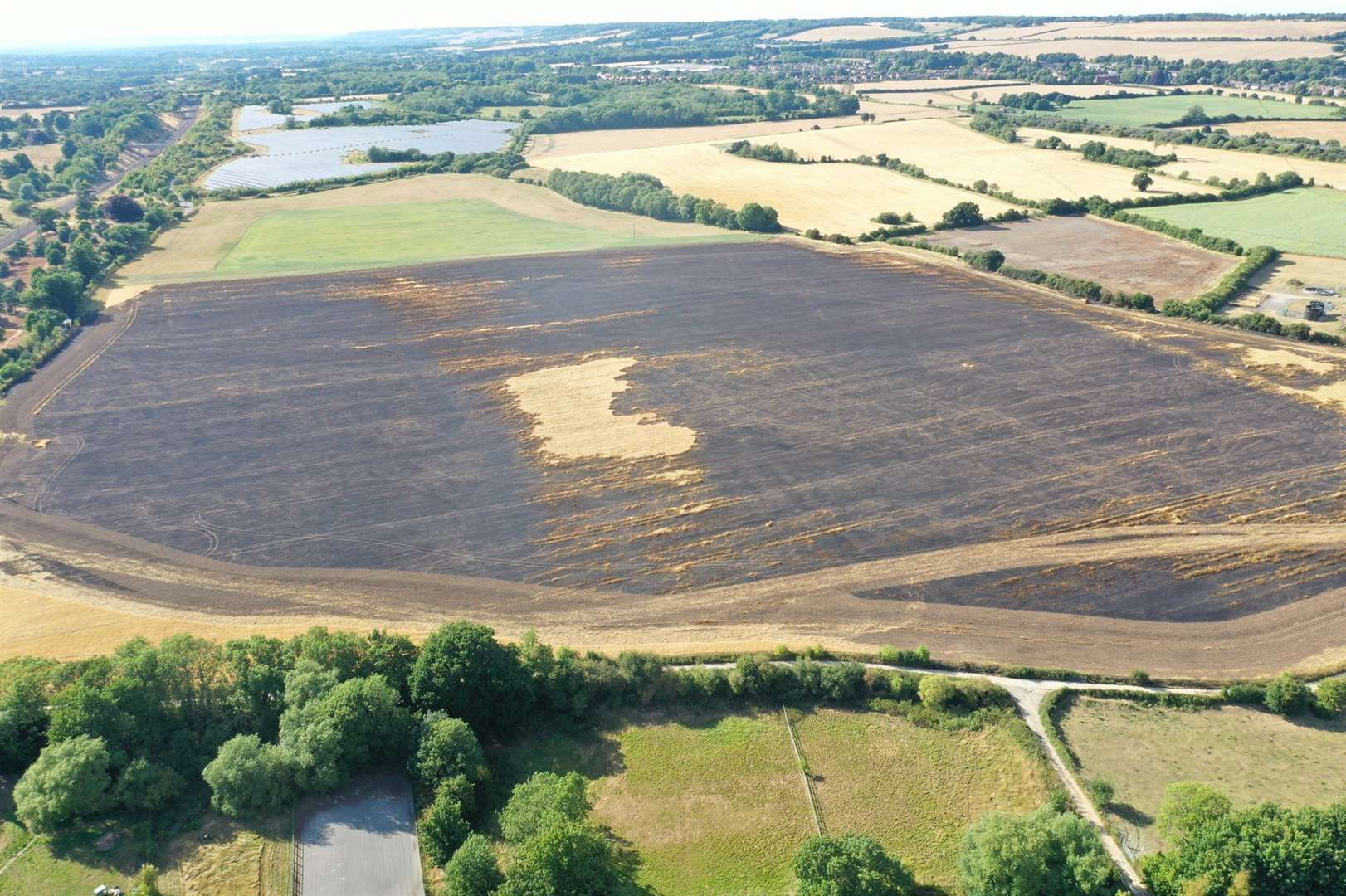 The farmland was totally destroyed. Picture: Kiran Reardon