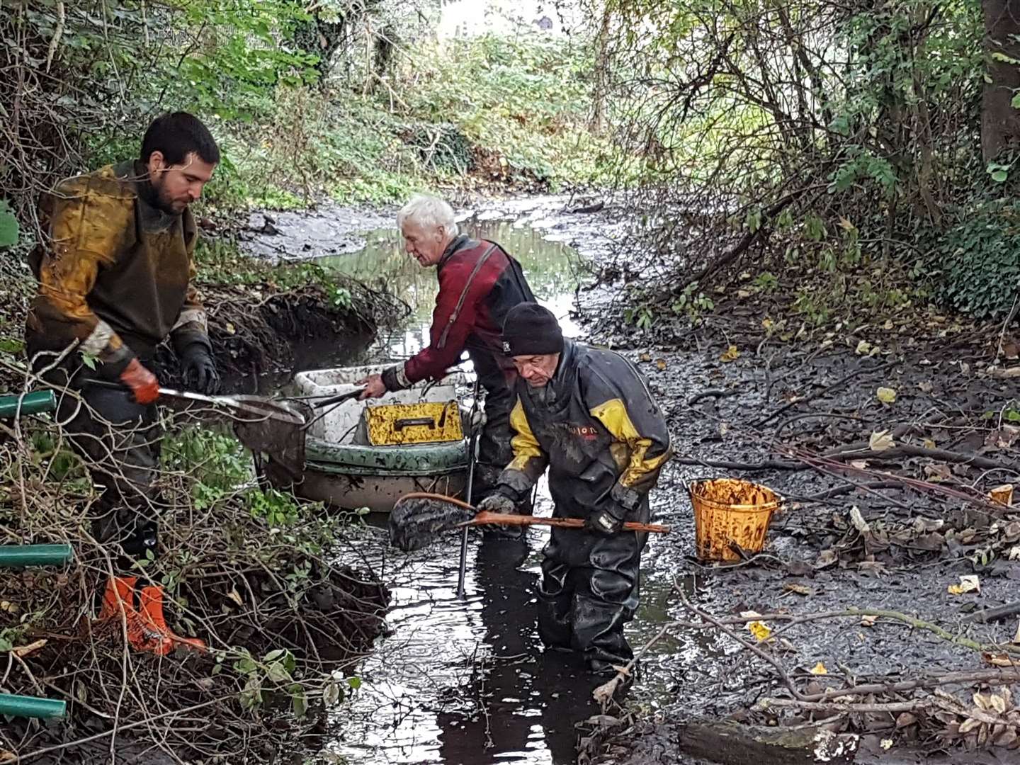 South East River Trust workers set about resorting the rare chalk stream section in Dartford Central Park Photo: South East Rivers Trust