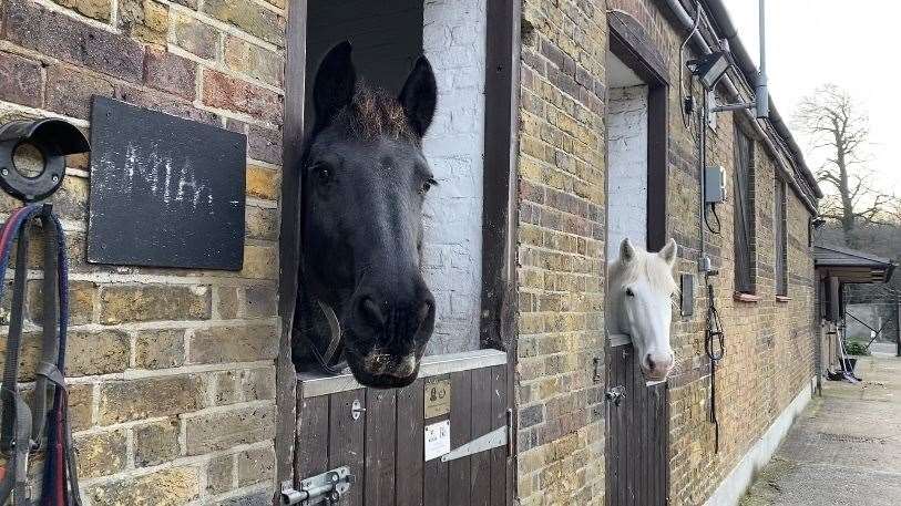 Horses at Arrow Riding Centre