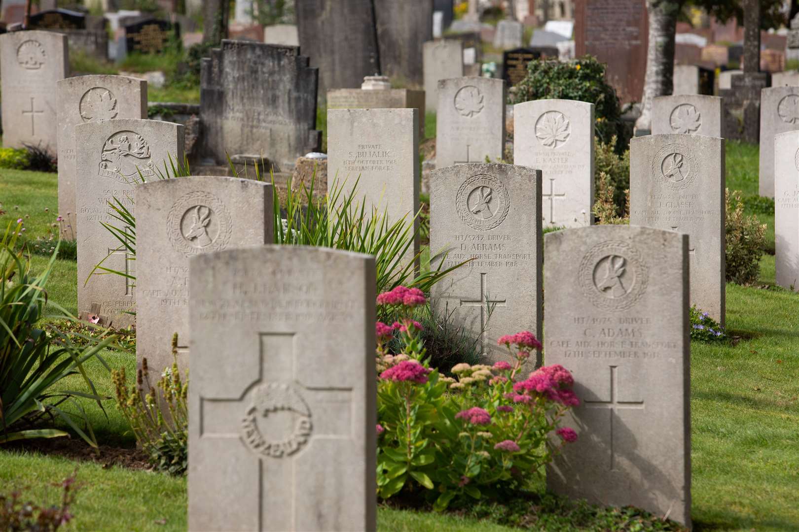 Different national emblems feature on war graves at the Plymouth Efford Cemetery (Commonwealth War Graves Commission)