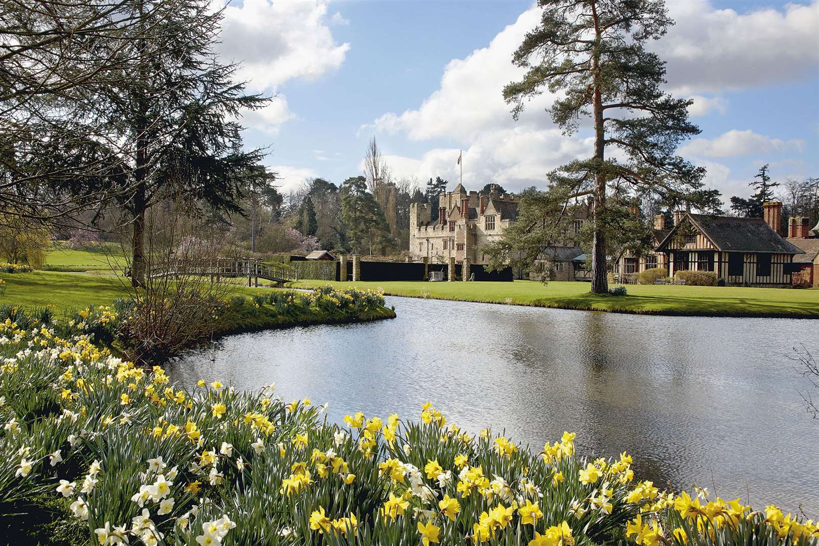 70,000 daffodils have been planted this year. Picture: Hever Castle and Gardens