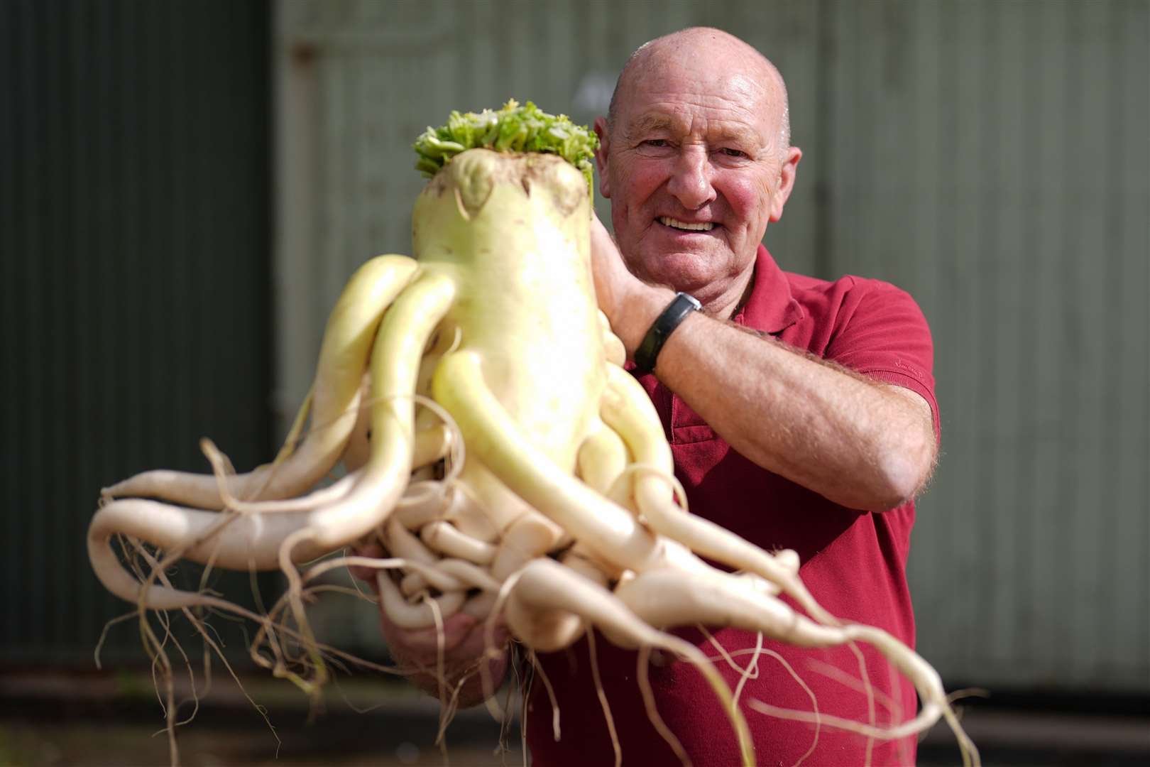 Joe Atherton with a radish he has entered in the UK national giant vegetables championship (Jacob King/PA)