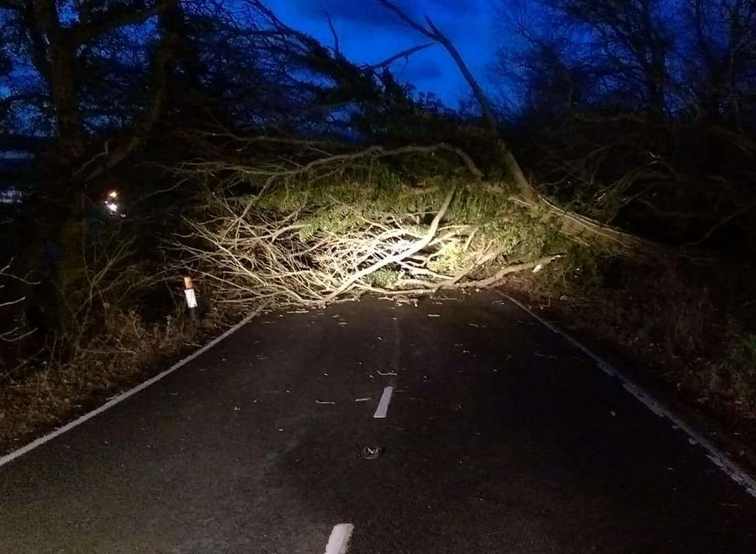 A tree down in Shalloak Road, Broad Oak. Picture: Gareth Boiling.