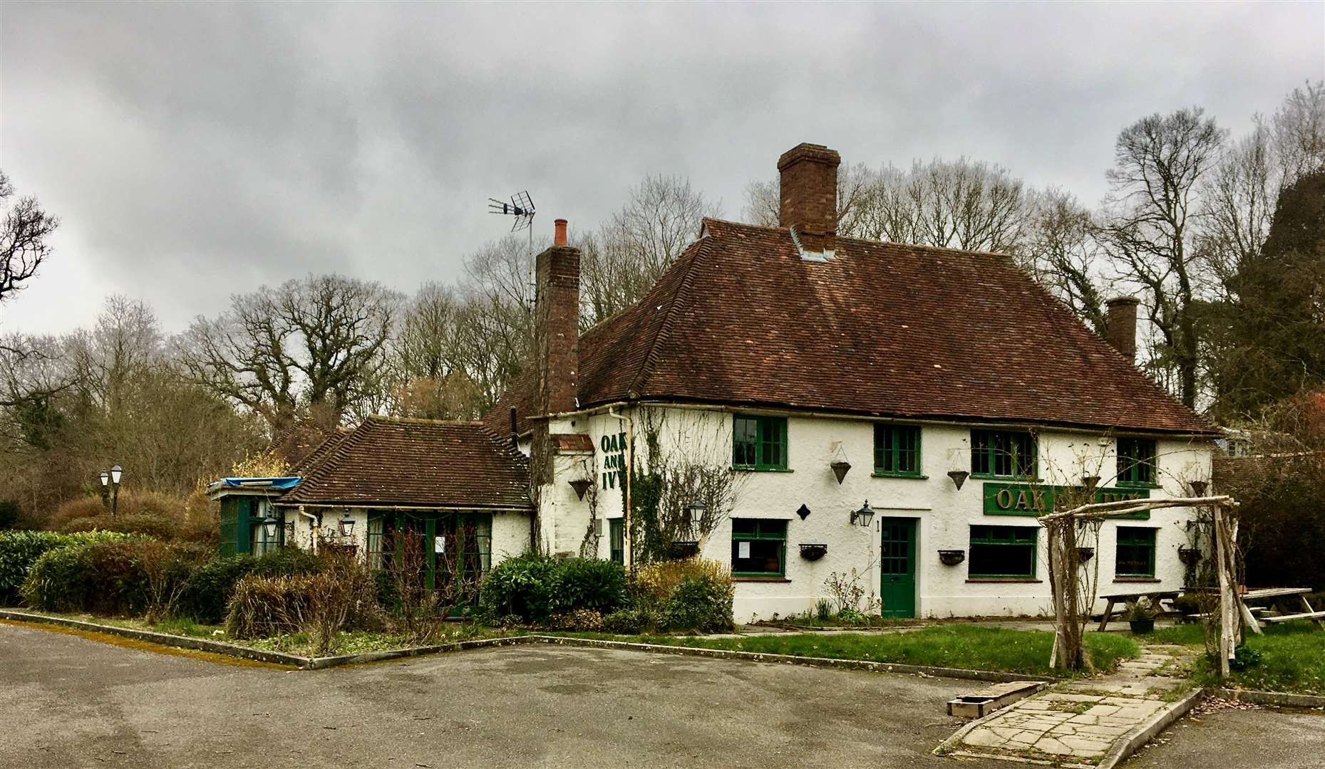 The Oak and Ivy, as it used to be