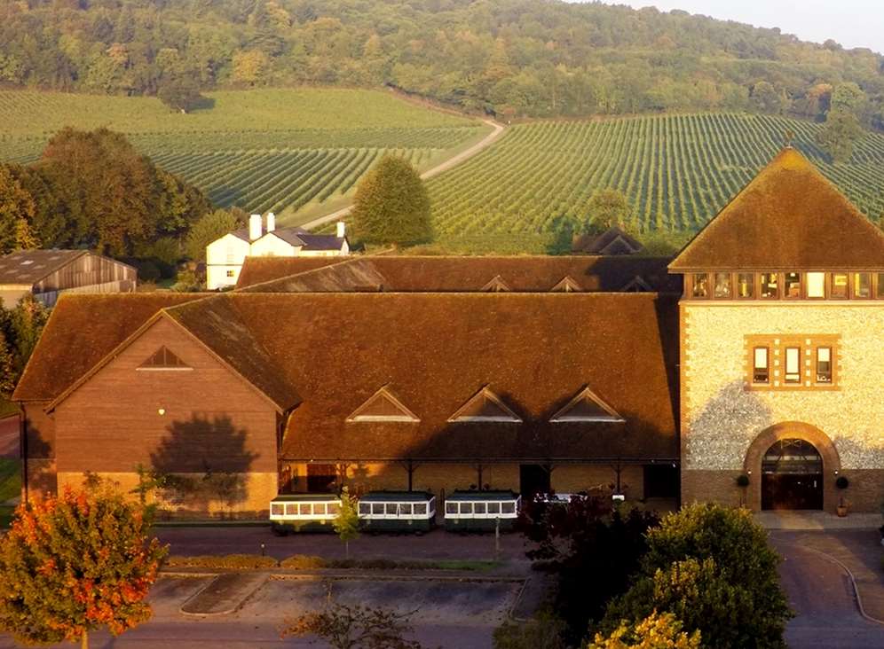 Denbies' south-facing slopes, chalky soil and micro-climate made it ideal for creating England’s largest vineyard.