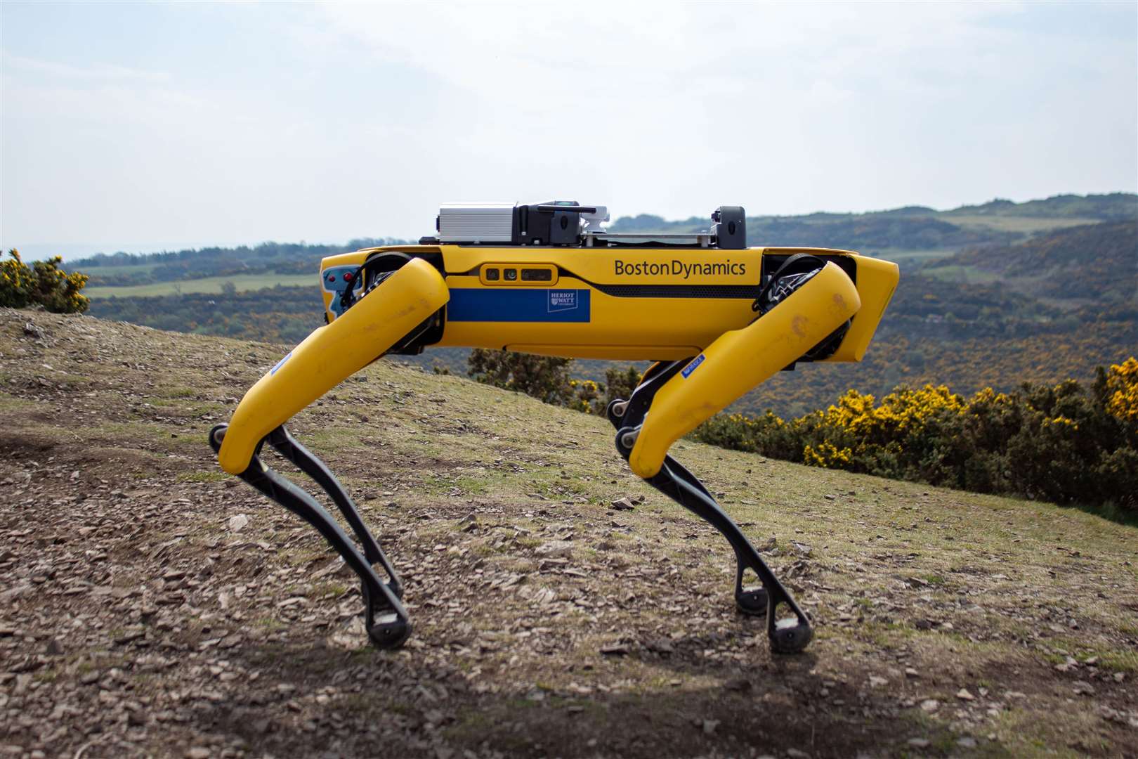 The robot is part of the ‘Spot’ range created by Boston Dynamics (Heriot-Watt University/PA)