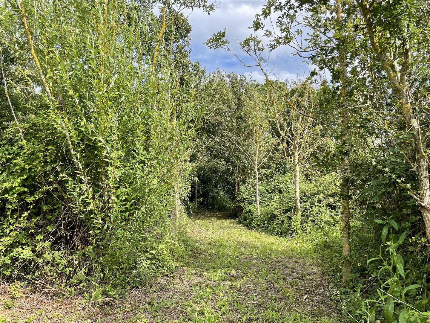 There is a wooded area at the ground for those who wish to scatter ashes and a memorial garden, in which the bereaved can have a remembrance tree planted or a plaque displayed