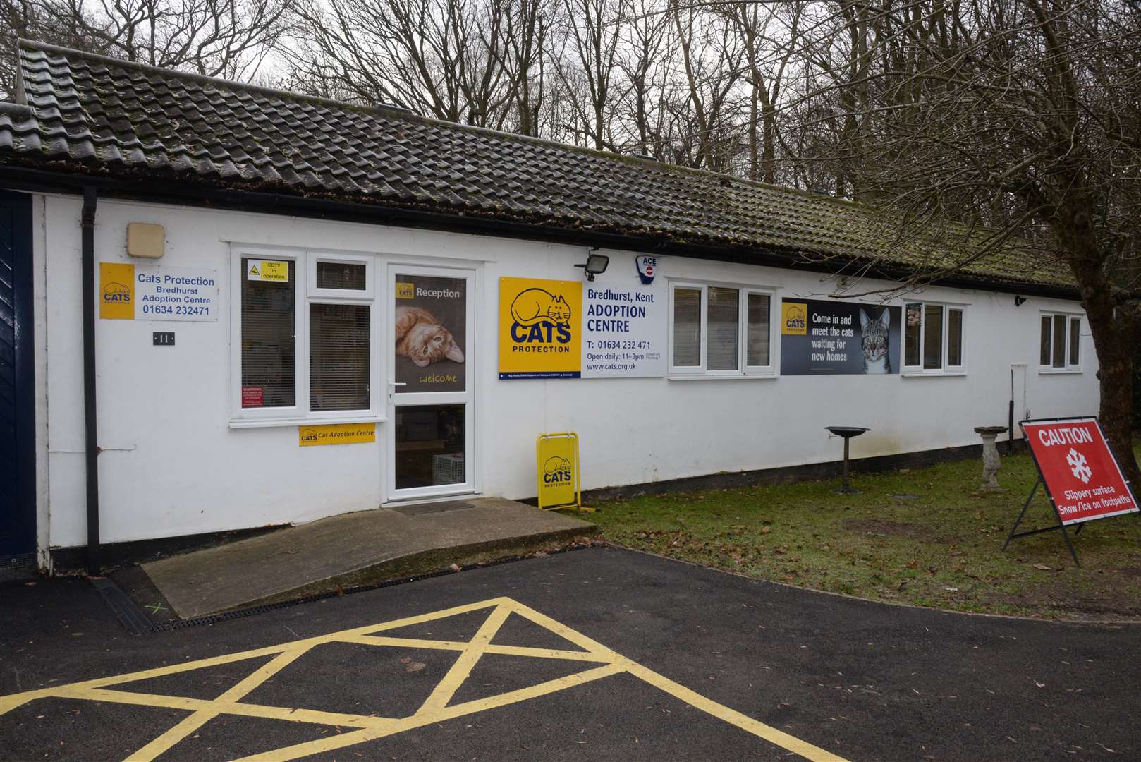 Cats Protection Bredhurst Adoption Centre in Rainham. Picture: Chris Davey