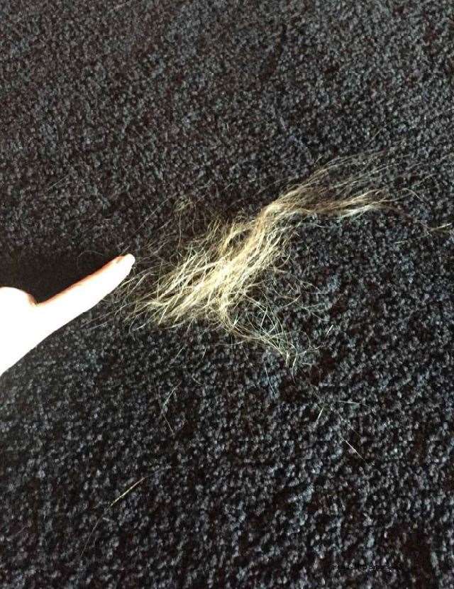 Picture shown in court of loose hair (PA)