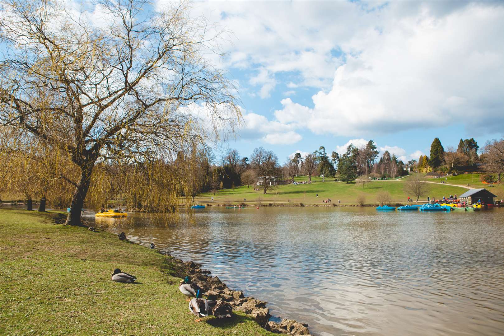 Another green space worth making time for is Dunloran Park - a 10 minute walk from the town centre