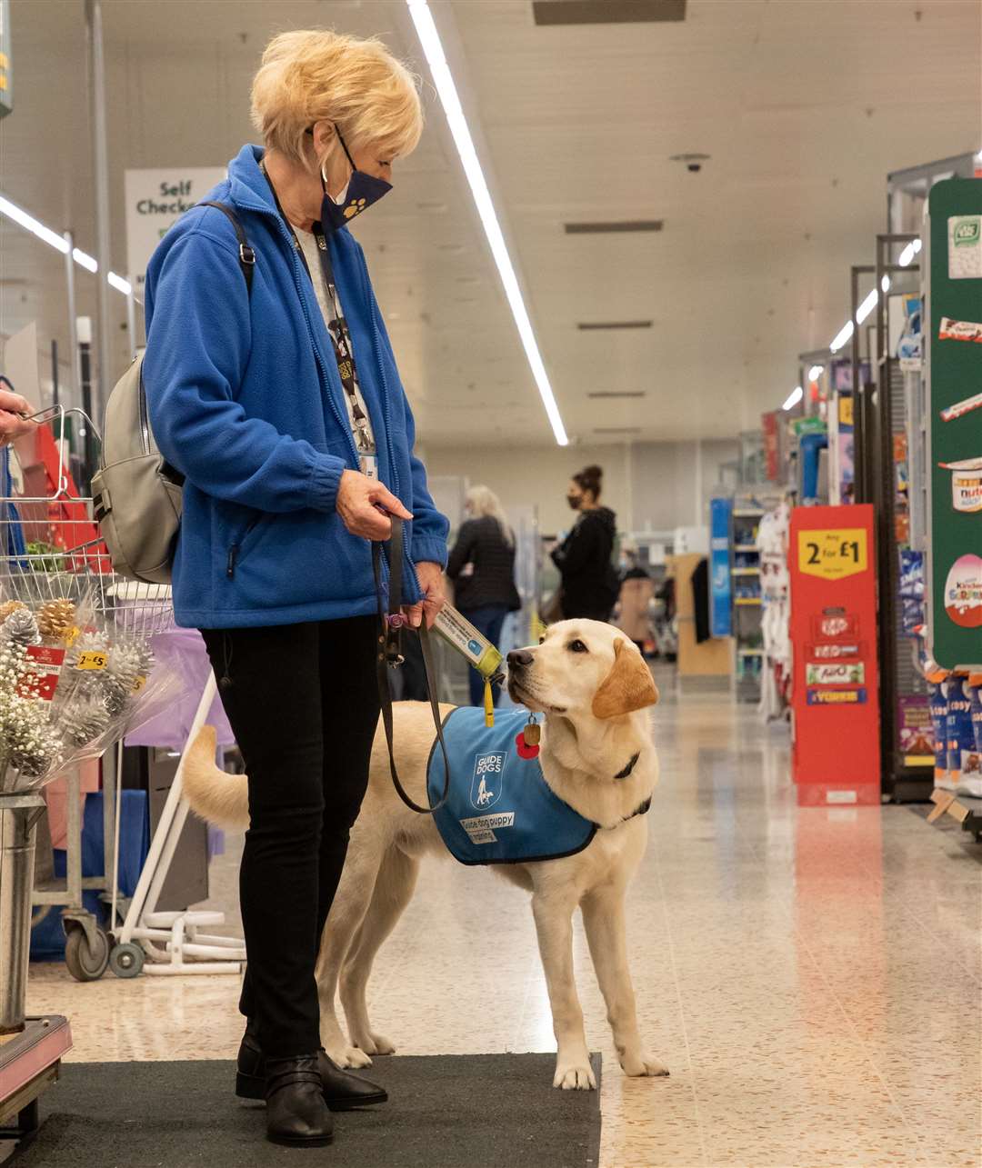 Margaret taking a dog to the supermarket. Picture: Margaret Mardell