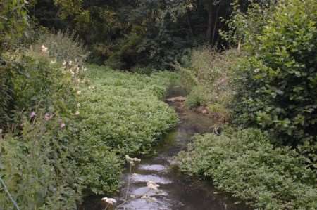 The Loose Valley. Picture: Matthew Reading