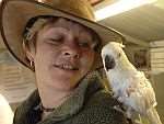 Sanctuary worker Julie Verrall and Charley the cockatoo at the TAG pet rescue centre in Lydden. Picture: Chris Davey
