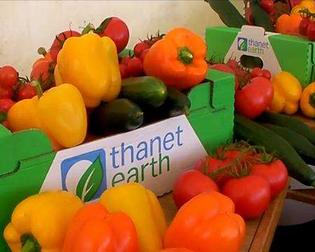 Fruit and vegetables at Thanet Earth